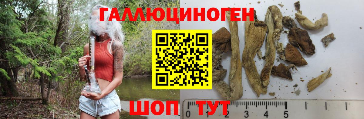 Псилоцибиновые грибы GOLDEN TEACHER  Галлюциногенные грибы прущие грибы  Новый Уренгой  Вход с VPN 