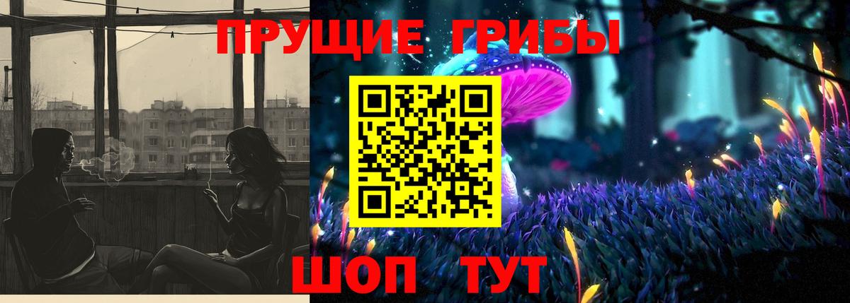 Галлюциногенные грибы Psilocybine cubensis Новый Уренгой